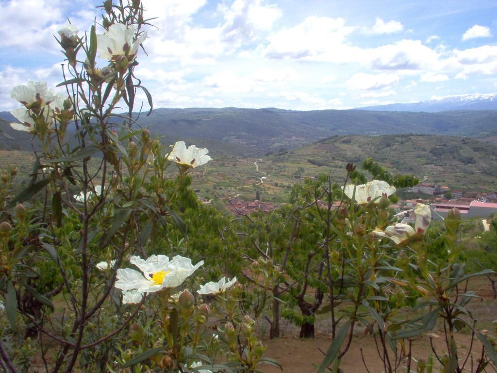 Hotel Rural Sierra De Francia Sotoserrano Екстер'єр фото